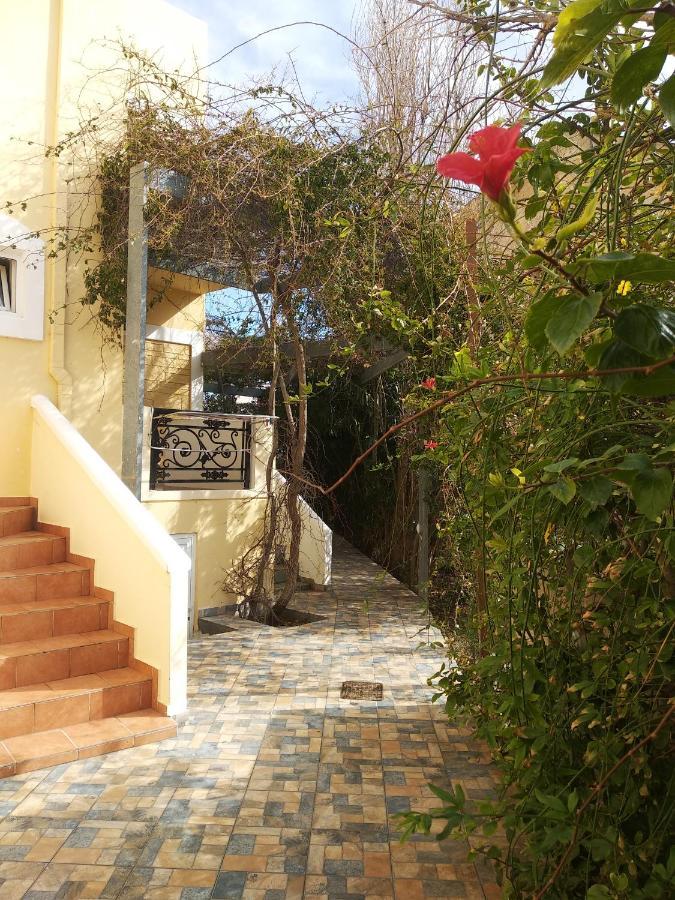 Ton Mari Apartments Palaiochora Dış mekan fotoğraf